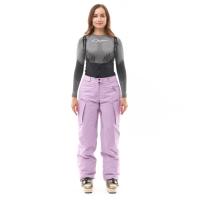 Dragonfly Штаны горнолыжные утепленные Gravity 2025 Woman Purple в Оренбурге